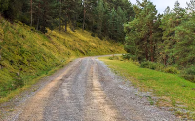 ABELTZAINTZARAKO AZPIEGITURAK SORTU ETA HOBETZEA