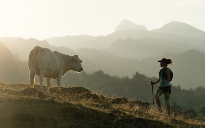 MENDIAN ZABILTZANEAN… GOGORATU!!