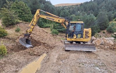 MEJORAS GANADERAS Y FORESTALES – ACTUACIONES DEL AÑO 2025